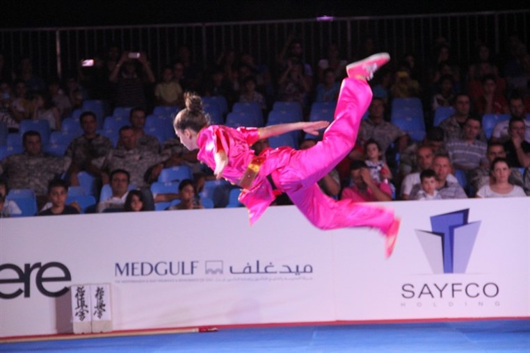 Martial Arts Festival